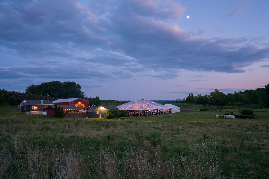 Nostrano Vineyard