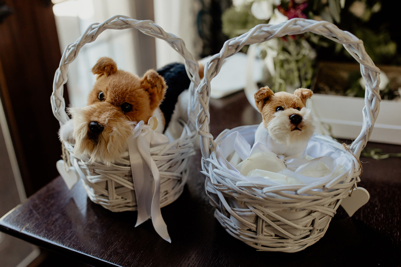 dogs in flower girl baskets