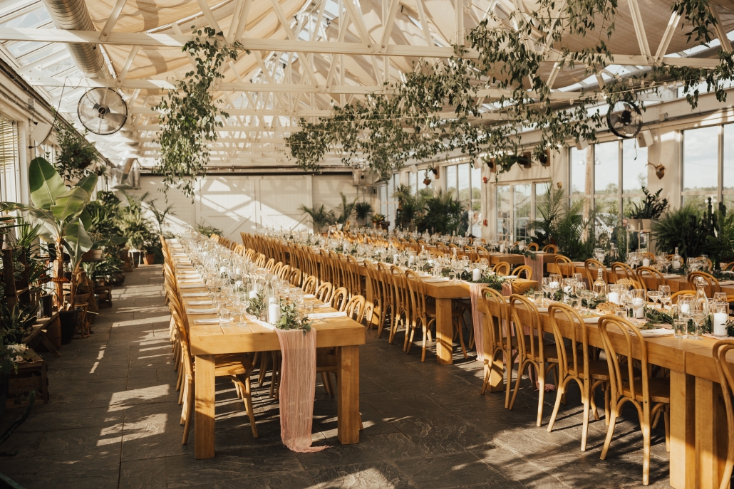Audrey's farmhouse and greenhouses