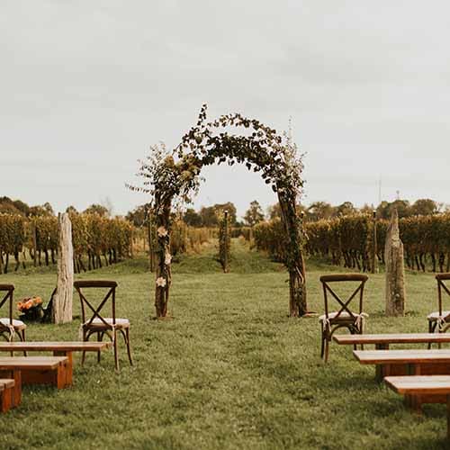 newport vineyards