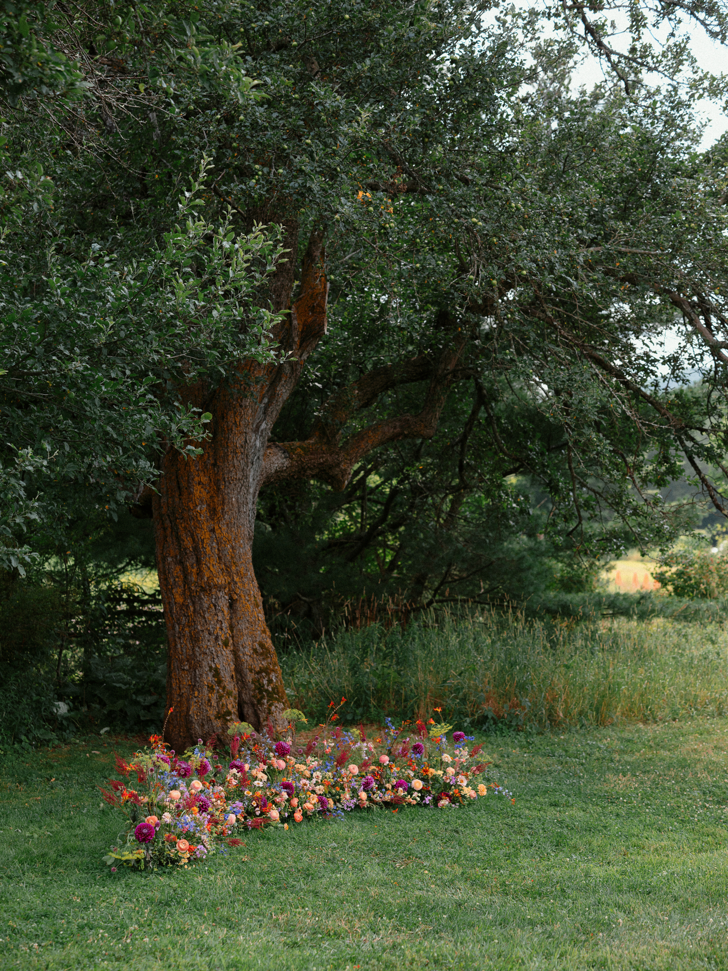 A vibrant ceremony backdrop runner of a mix of pink dahlias, orange ranunculus, blue blooms, and wildflowers against a tree