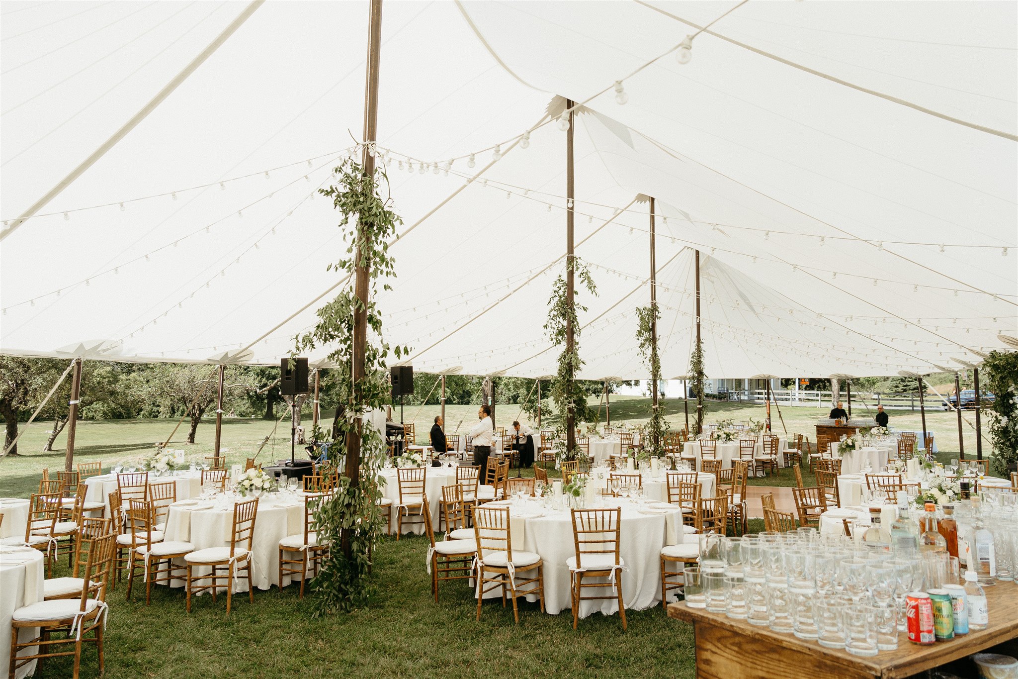 Elegant tented wedding reception setup with string lights, white linens, and lush greenery—an example of decor that influences the cost of home wedding.