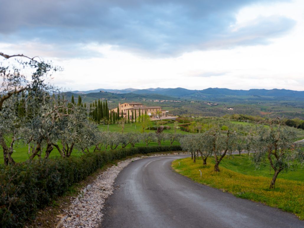 Winding road through olive groves leading to a luxury wedding villa in Tuscany, surrounded by hills and vineyards.