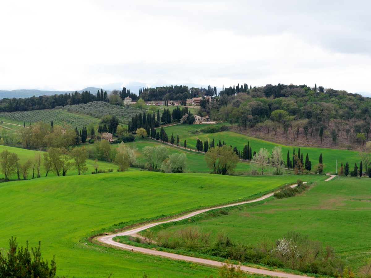 Rolling green hills and winding roads with cypress trees near Borgo Pignano, a picture-perfect setting for Tuscany weddings.