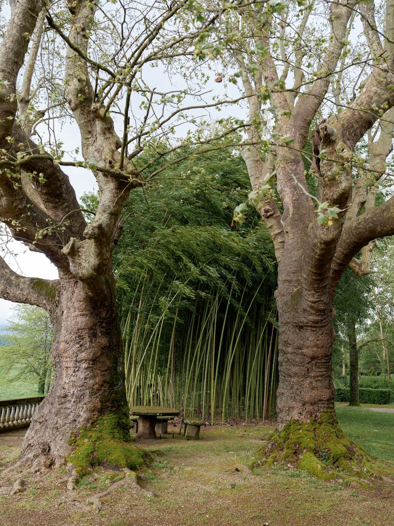 Shaded garden nook at Viesca Toscano in Tuscany, with mossy stone benches and towering trees, offering couples a romantic escape on their wedding day.