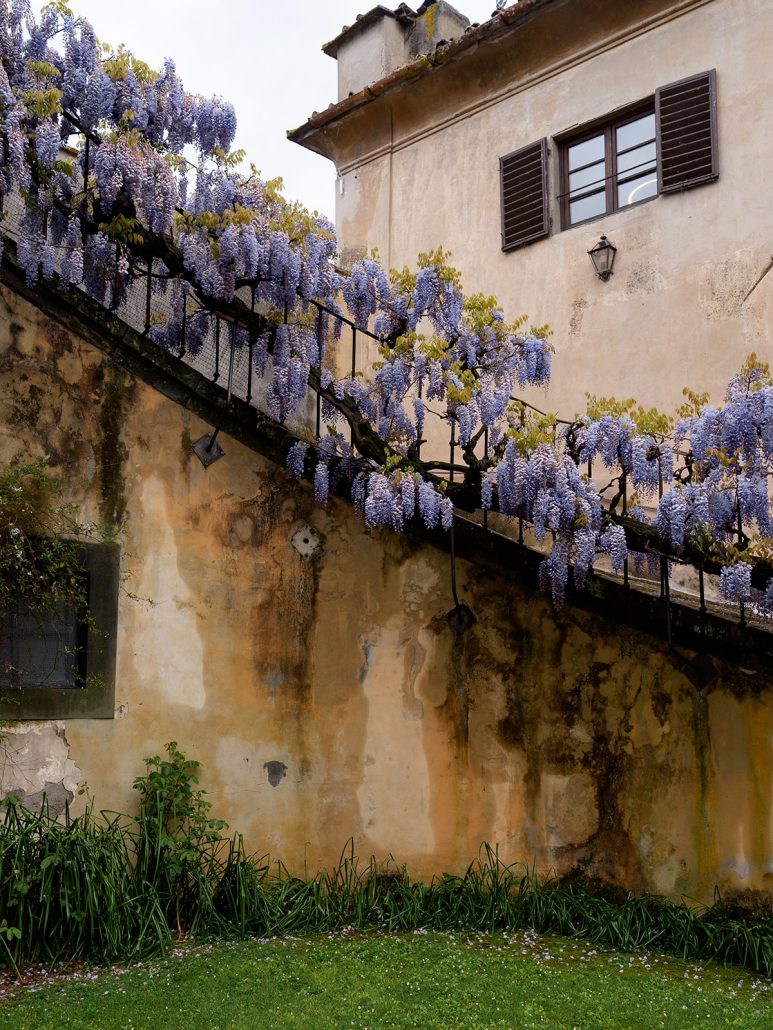Wisteria-covered staircase at a historic Tuscan villa, an enchanting detail for couples planning a Tuscany wedding celebration.