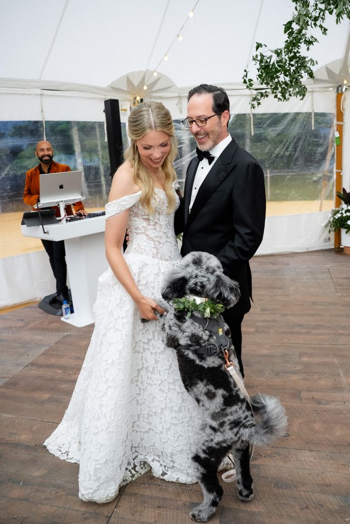 Bride and groom with their dog during a private residence celebration showing how to plan a home wedding with personal details