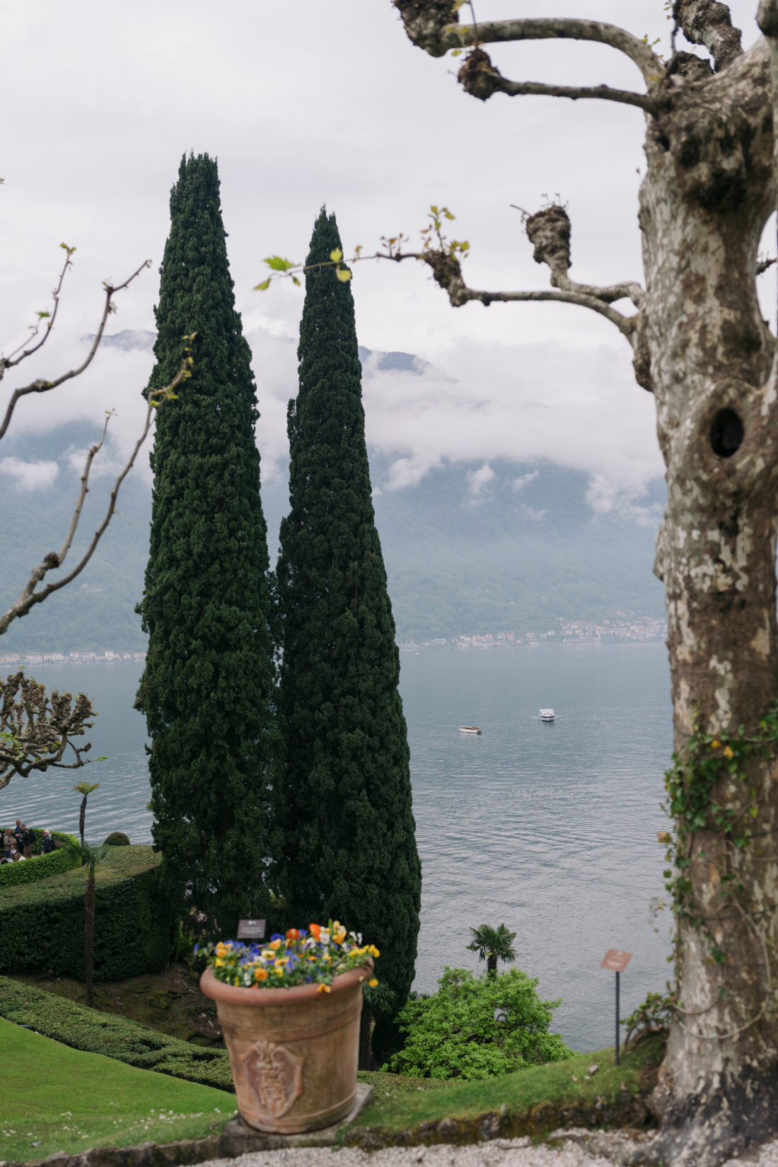 Tall cypress trees framing panoramic views across Lake Como from the historic villa gardens.