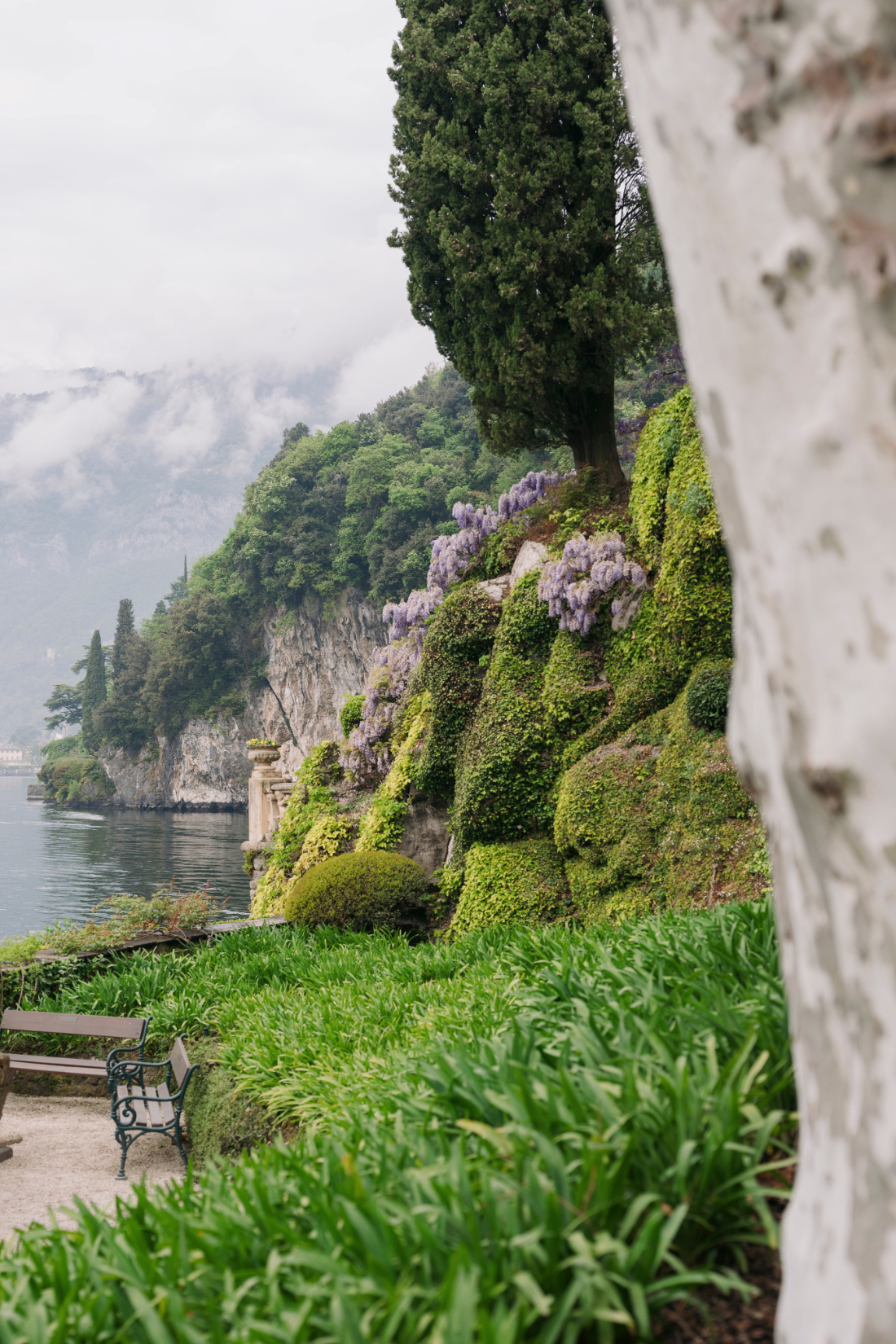 Lush terraced gardens with flowering wisteria and dramatic lakeside cliffs at a Villa del Balbianello wedding.